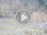 2014_08_03 Cold Water Challenge (Videos)